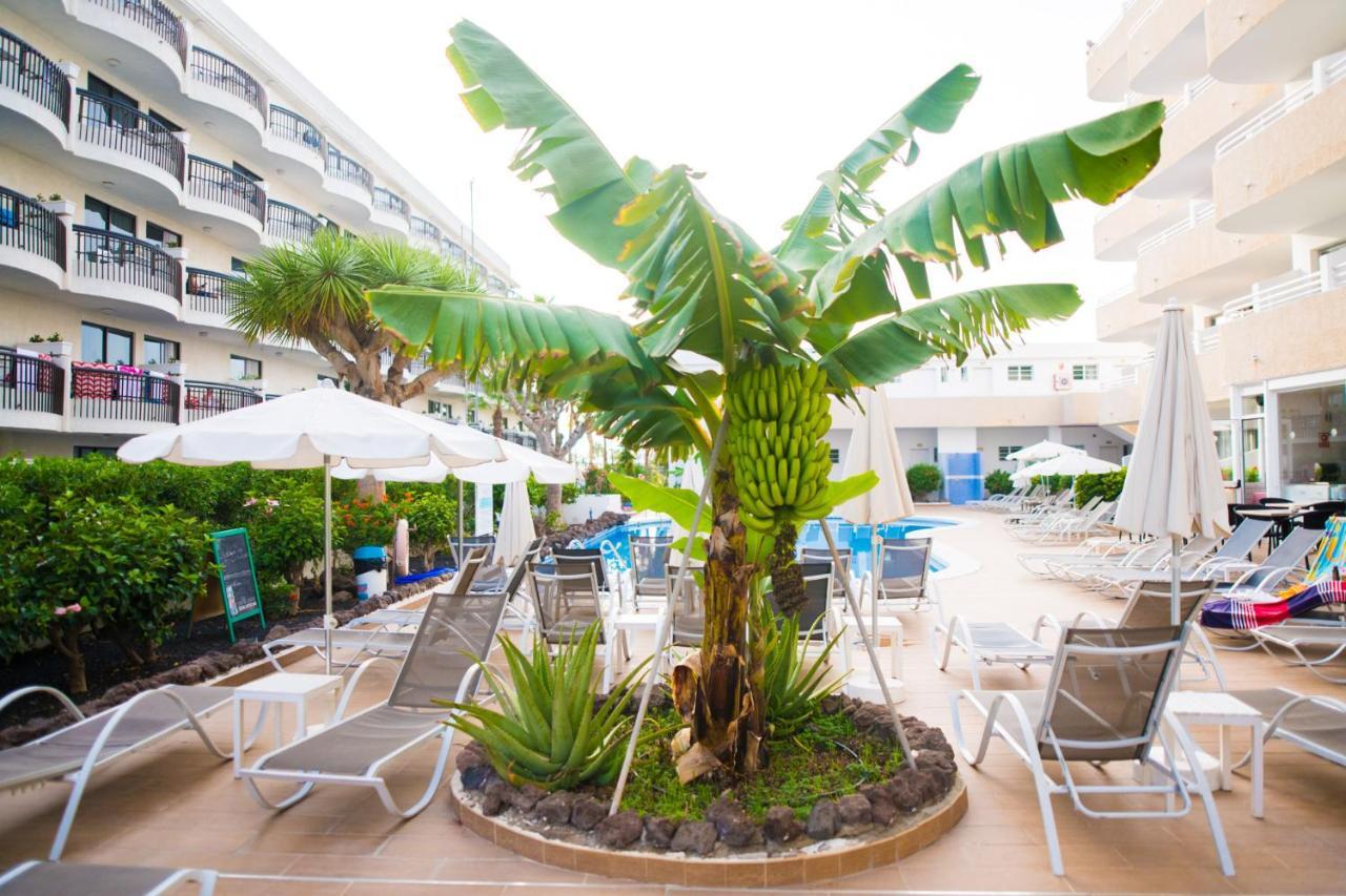 Adults Only Sunny Quiet Apartment In Center Of Las Americas Арона Екстериор снимка